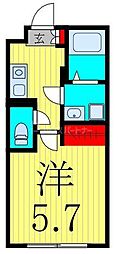 Lotso亀有 5階/502