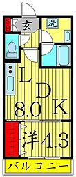 NEOグレイス綾瀬 1LDKの間取図画像