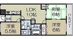 カターラオーシマ