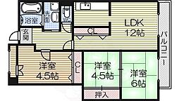 グレース泉大津 1階