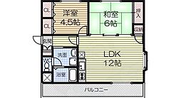 ステートリー羽衣 2LDKの間取図画像