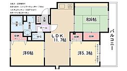 シルキーＣ 2階/-