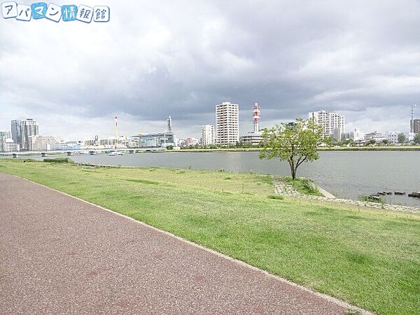 画像24:信濃川やすらぎ堤緑地 1911m
