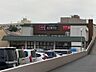 周辺：ザ・ダイソー ピーコックストア松が丘店（1165m）