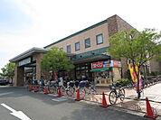 マルヤス 宮田店（230m）