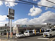 ウエルシア高槻古曽部店（234m）