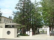 大学「東京女子大学まで820m」
