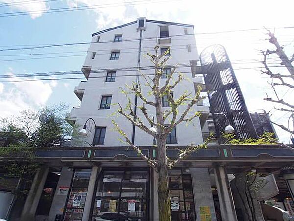 京都府京都市右京区嵯峨新宮町(賃貸マンション3LDK・4階・71.28㎡)の写真 その1