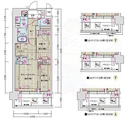 ソルテラス京都西院 悠洛 8階/-