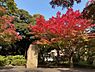 周辺：【公園】紅葉山公園まで629ｍ