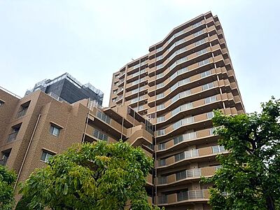 外観 外観
