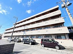 アリカフィールド