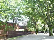 公園「神代植物公園まで770m」