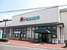 周辺：スーパー「大丸ピーコックまで630m」