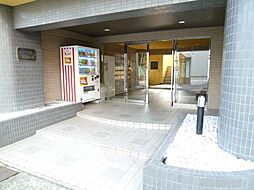 5 / 11