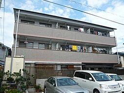 チェリーブラッサムズAT