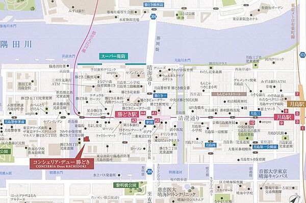 コンシェリア・デュー勝どき 808｜東京都中央区勝どき４丁目(賃貸マンション1LDK・8階・41.37㎡)の写真 その17