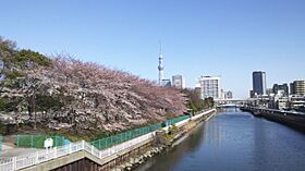 プレミアムキューブ西大島（PREMIUM　CUBE　西大島） 502 ｜ 東京都江東区大島２丁目13-24（賃貸マンション1K・5階・25.64㎡） その18