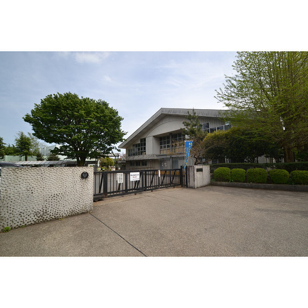 Image 1138