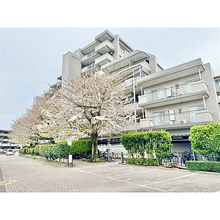空室につき、ゆっくりとご覧いただけます。