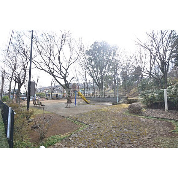 周辺を拡大表示
