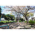 周辺：上川原公園