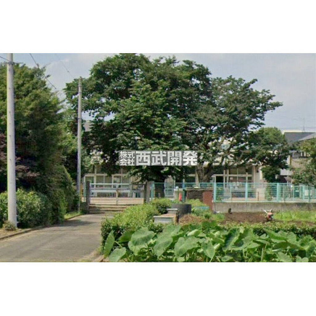 Image 19