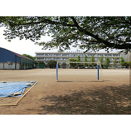 新座市立野火止...