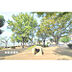 周辺：下東公園