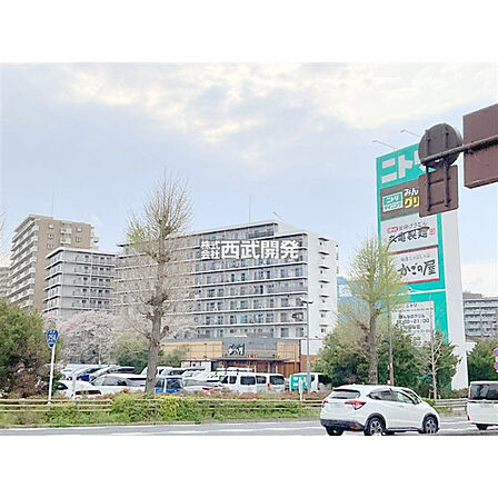 ニトリ成増店