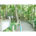 周辺：西原自然公園