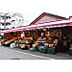 周辺：アキダイ関町本店