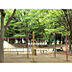 周辺：滝山公園