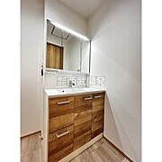 清潔感のあるシャンプードレッサーで、朝の身だしなみをしっかりと！シャワーヘッドが付いているので、お掃除も簡単にできます。
