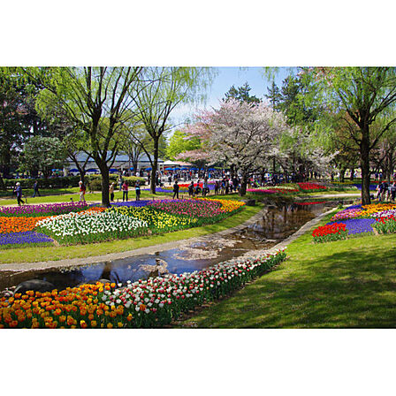 昭和記念公園