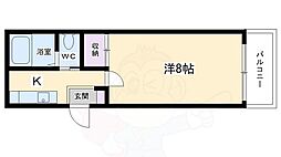 シャトレ中井三条 5階