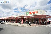 コノミヤ摂津店 480m