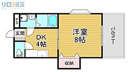 グレースマンション清水 1DKの間取図画像