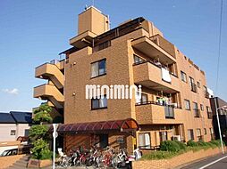 三高・サンマグノリア