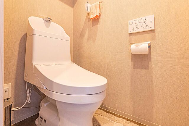 設備 リビオレゾン新虎通り 10階/-