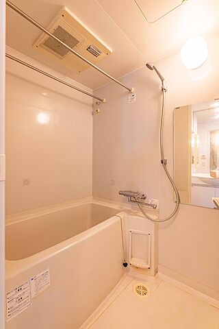 浴室 ＬＥ-ＬＩＯＮ　ＩＫＥＢＵＫＵＲＯ　ＣＯＭＦＯＲＴ 14階/-