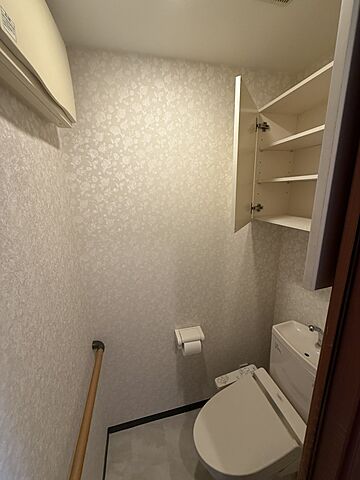 トイレ グランシティレイディアントタワー 17階/-