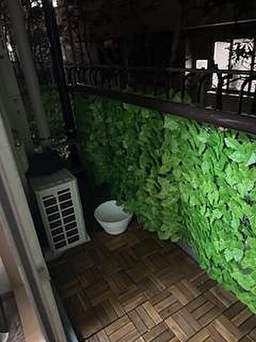 バルコニー ハイネス立川 2階/-