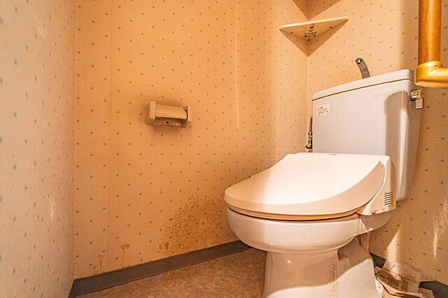 トイレ ベルジェ南平 1階/-