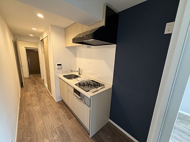 キッチン ＮＩＣハイム武蔵新田 3階/-