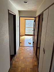 室内の画像