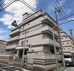 プラムハイツ