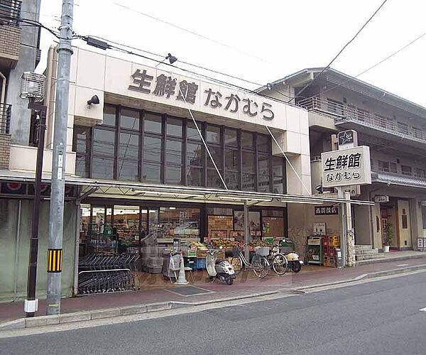 画像28:生鮮館なかむら 西賀茂店まで192m 新鮮な食材勢揃い。