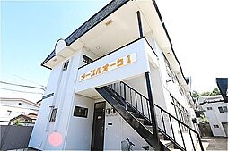 メープルオーク1
