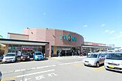 いとく新国道店(650m)